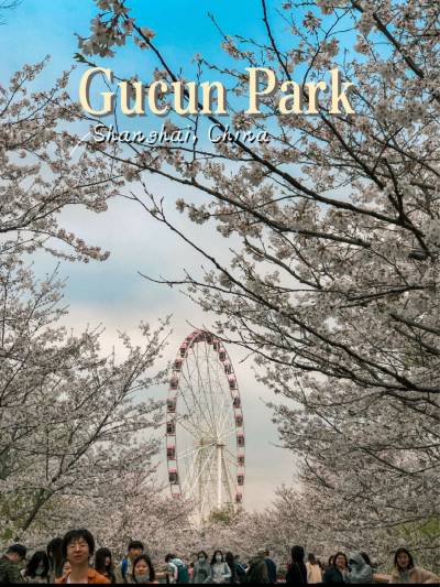 Gucun New Town - Image 3