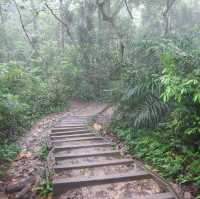 Explore & Hike 🇸🇬 Tallest Hill in Bukit Timah 