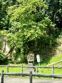 【日本東北】松島瑞嚴寺：莊嚴肅穆的三十三尊觀音像