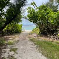 Clean Northern Beach