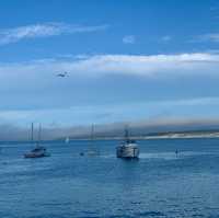 Exploring the 17-Mile Drive: A Scenic Coastal Journey