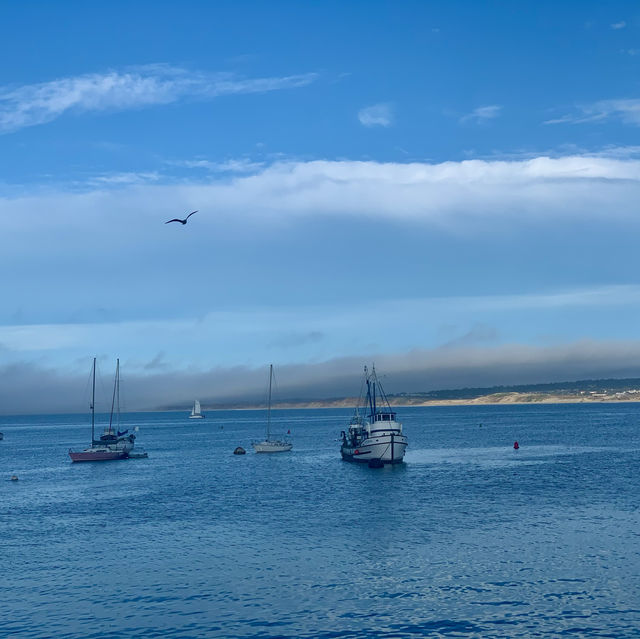 Exploring the 17-Mile Drive: A Scenic Coastal Journey
