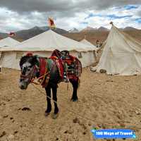 Unbridled Enchantment: Discovering Ladakh's Hidden Gems
