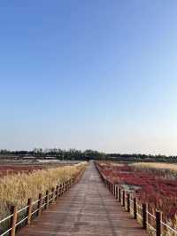  📍씨사이드파크 Seaside Park 