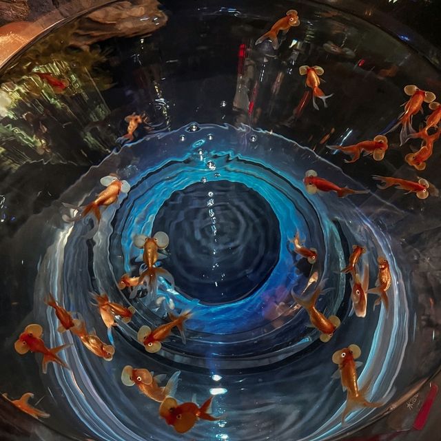 ไปเที่ยว UWS AQUARIUM GA☆KYO ที่ญี่ปุ่นกัน