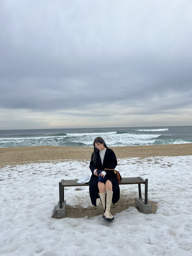 강릉 바다가 예쁜 안목해변