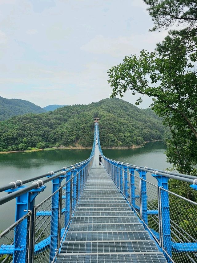 초평호 위의 아찔한🫣 출렁다리 
