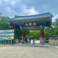 여름 햇살 속 불국사, 자연과 역사의 청량한 만남 즐기러 GO🏃‍♀️💨