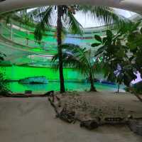 【千葉】雨でも楽しめる水族館