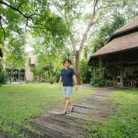 เก๊าไม้ ล้านนา เชียงใหม่