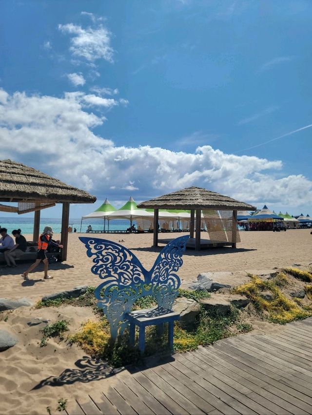 멋진 군함이 보이는 장사해수욕장🏖