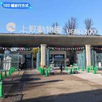日本東京-大人小孩都喜歡的動物明星：上野動物園