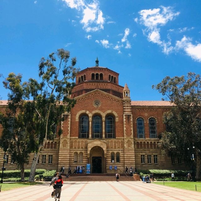 미국의 캠퍼스 생활을 느낄 수있는 , UCLA 대학교🏫