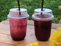 Mulberry Mellow คาเฟ่สุดชิวท่ามกลางต้นไม้สีเขียว🌳