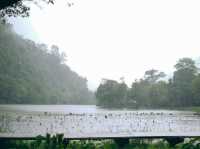 อุทยานแห่งชาติทะเลบัน ในวันที่ฝนตก