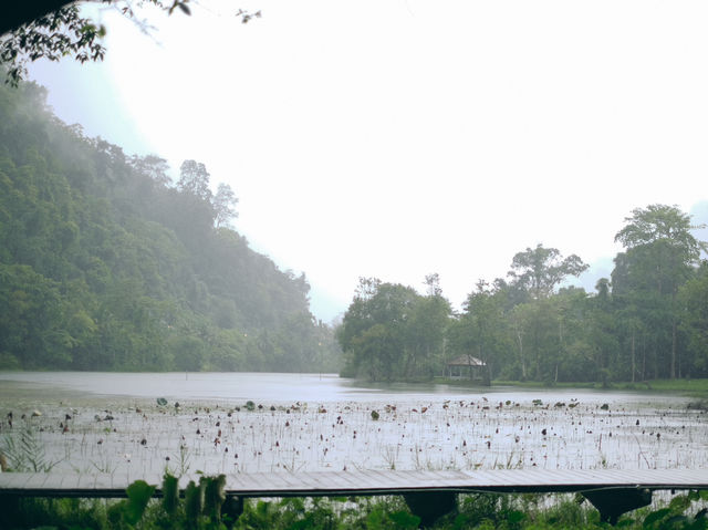 อุทยานแห่งชาติทะเลบัน ในวันที่ฝนตก
