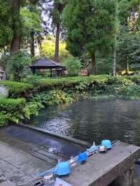 【白川水源:熊本県阿蘇群】透き通った美味しい湧き水を汲める場所✨