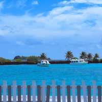 ทริป Maldives 4 วัน 3 คืน กับ Fly AirAsia 
