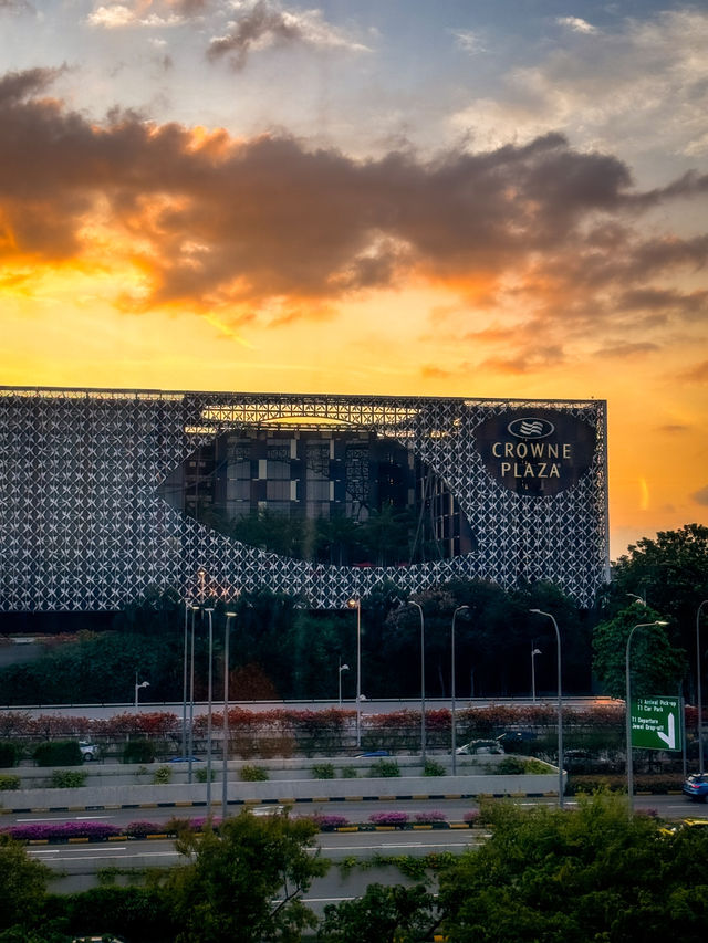 Golden Hour at Jewel Changi Airport: A Family Experience