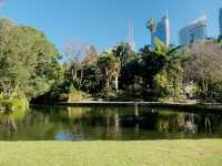 Royal Botanic Garden Sydney