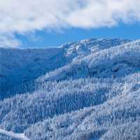 新雪谷村滑雪勝地：冬季運動的天堂⛷️❄️🏔️
