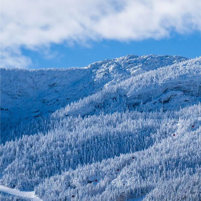 新雪谷村滑雪勝地：冬季運動的天堂⛷️❄️🏔️
