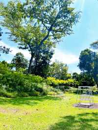 Peaceful Greenery Escape at Fort Canning Park