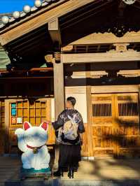 Purr-fect Sanctuary: Discover Japan's Enchanting Cat Temple🐱🕍
