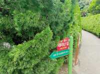 Maze Land 메이즈랜드