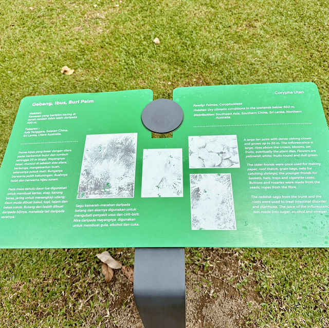 KLCC Park – A Serene Escape Amidst the City