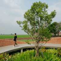NAYA Cafe Ayutthaya คาเฟ่อิฐและวิวทุ่งนา🌾