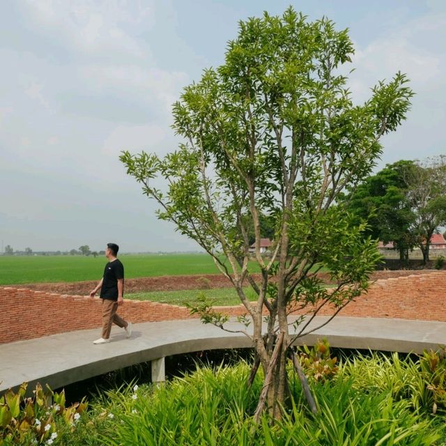 NAYA Cafe Ayutthaya คาเฟ่อิฐและวิวทุ่งนา🌾