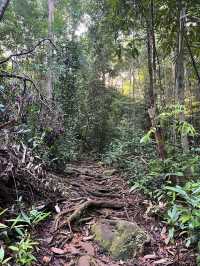 Conquering Mount Santubong: A Local Favorite Hiking Trail in Kuching