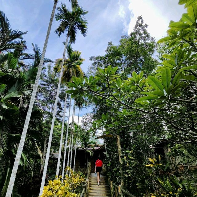 A Family-Run Jungle Resort