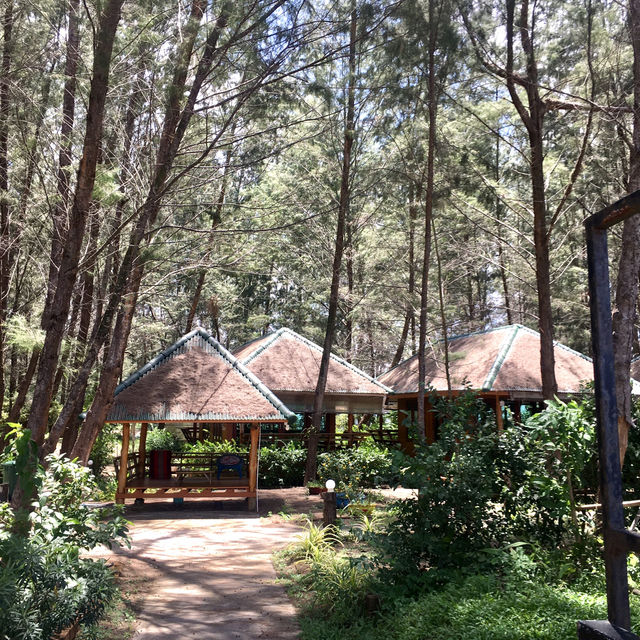 A Sanctuary of Serenity Resort