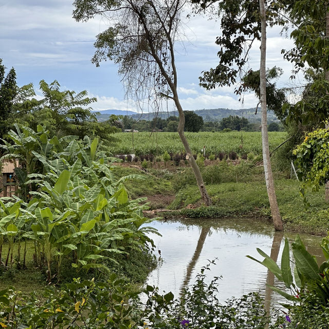 ที่พักล้านนา บ้านนอกคอกนา