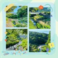 檜木內川河川綠地：自然與完美融合 🌳💧