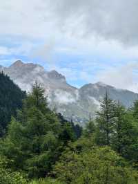 Huanglong Forest is the Paradise 