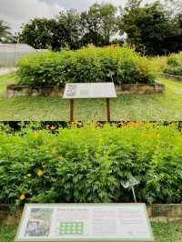 A Day at HortPark: Singapore’s Gardening Haven