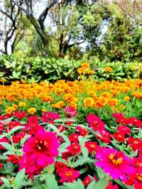 Do Not Miss It When You Are in Dujiangyan 