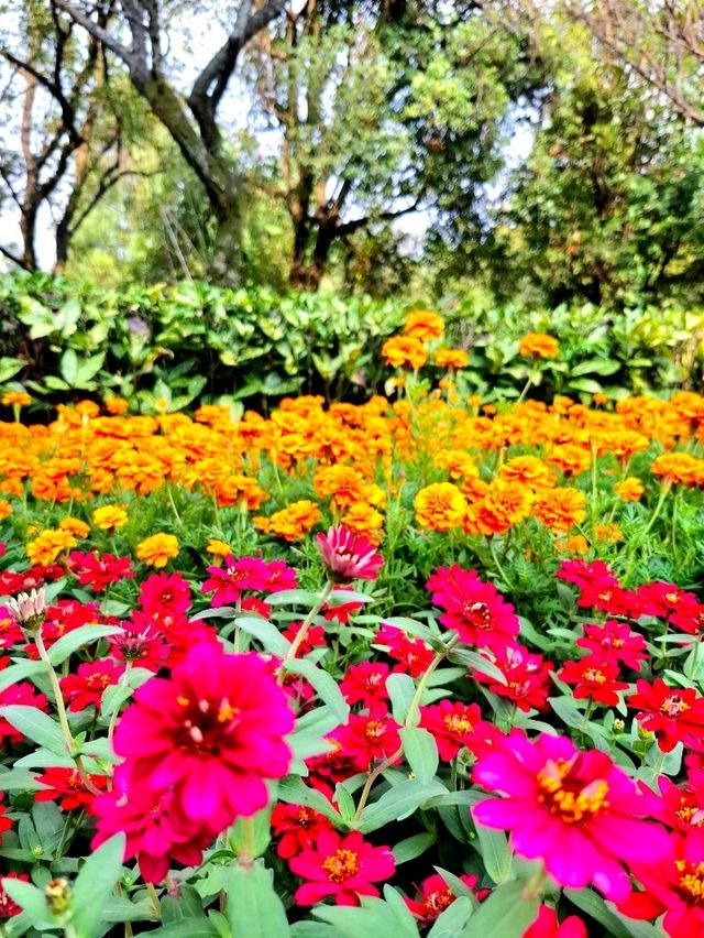 Do Not Miss It When You Are in Dujiangyan 