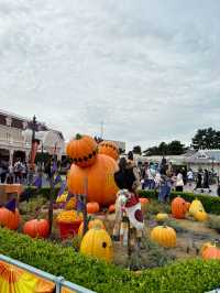 Tokyo Disneyland