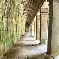 【カンボジア/シェムリアップ】自然と遺跡が融合した神秘的なタプローム寺院