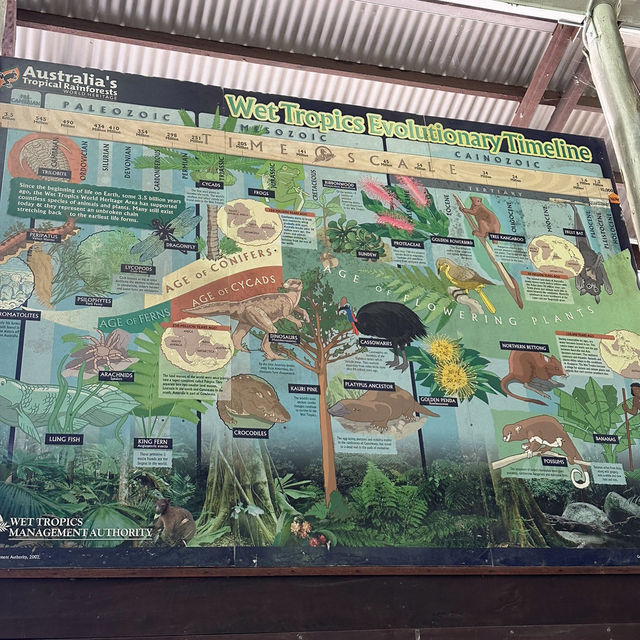 【オーストラリア旅行】Wildlife Habitat 