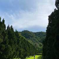 Nature's Oasis: A Refreshing Escape at Cypress Lanes in Chiang Mai