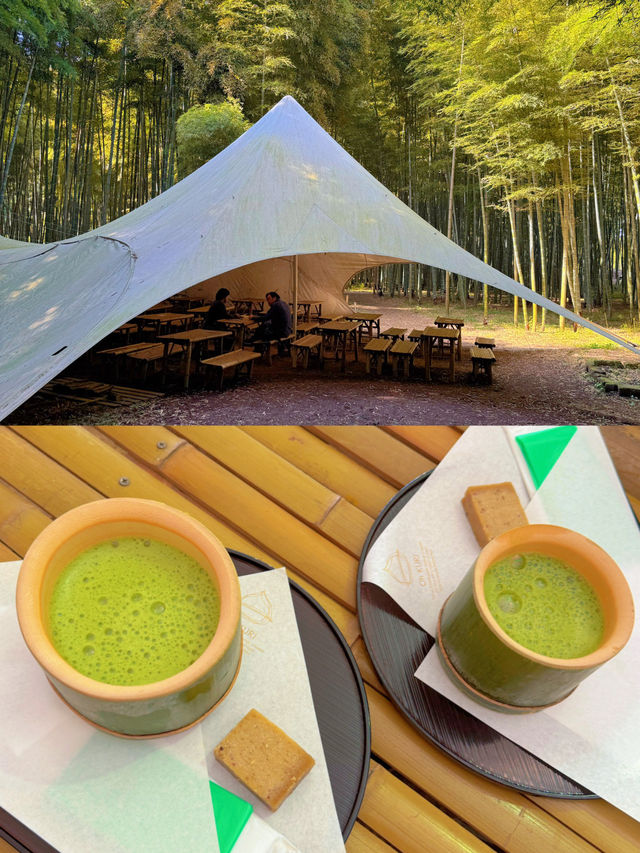 【栃木】あの人気映画のロケ地にもなった！マイナスイオンたっぷりの美しい竹林🫣🌿【宇都宮】