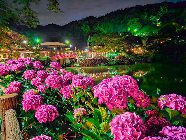 【愛知】絶景！10000株の紫陽花が咲き誇るあじさいの里✨