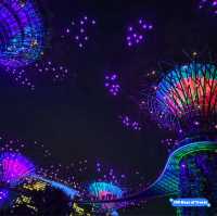 Magical Giants: SuperTree Grove at Gardens by the Bay