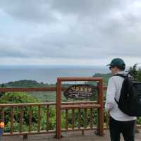 🇰🇷 Volcanic Vistas: The Journey Up to Seongsan Ilchulbong