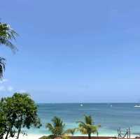Serenity by the Sea: A Comprehensive Review of Beaches